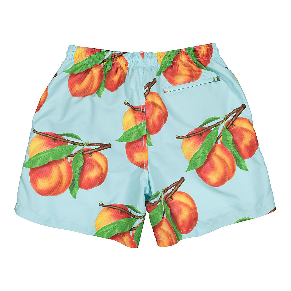 Stussy Peaches Water Short Blue Shorts Material | Overkill