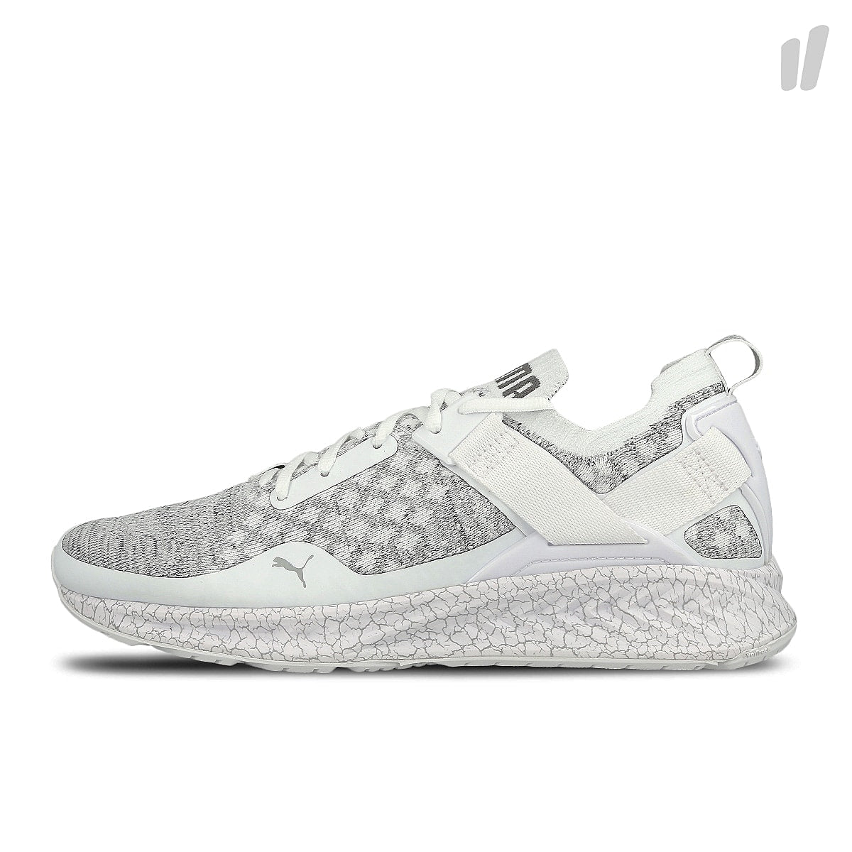Puma ignite evoknit lo hypernature White - Quarry - Quit Shade Sneakers 189993 02 | Overkill