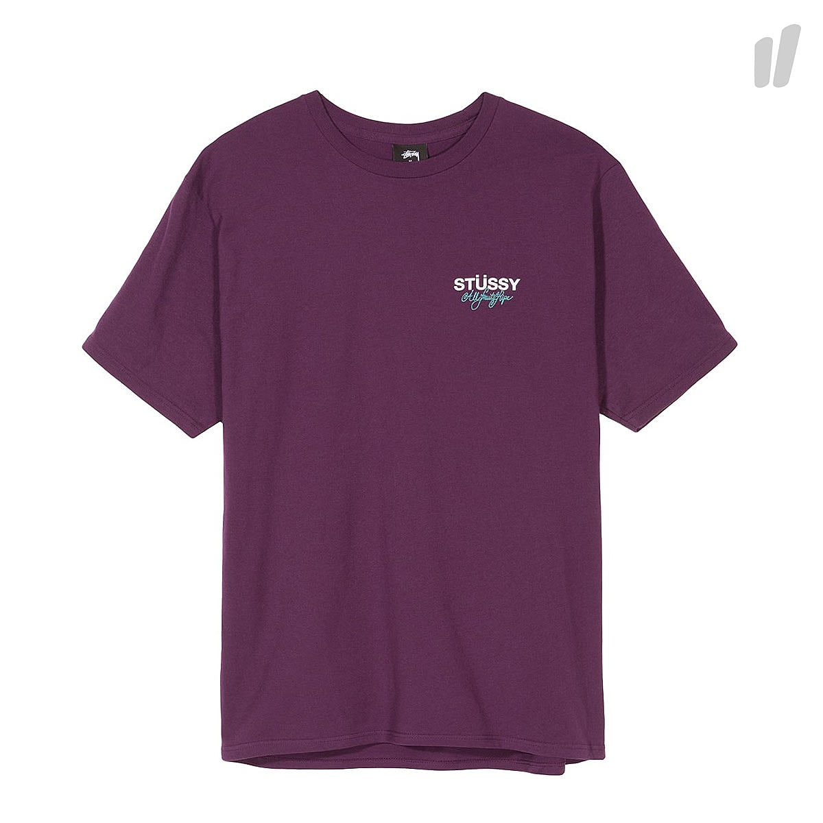 Stussy All Fruits Ripe Tee Grape T-Shirts 1904142 / 0425 | Overkill