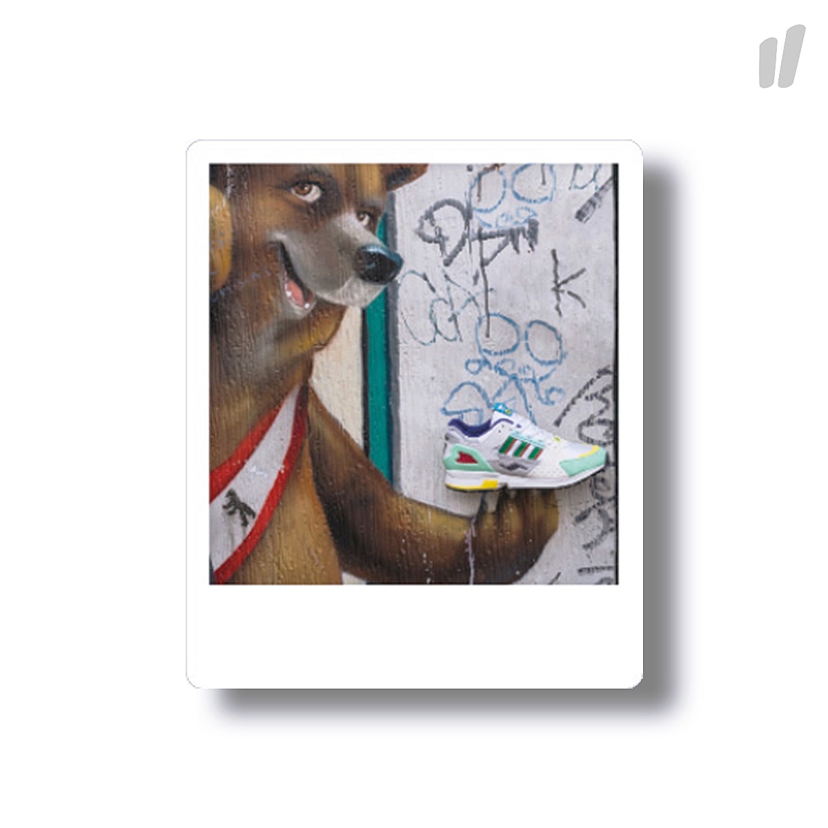 Overkill ZX10K "I CAN IF I WANT" Berliner Bär Magnet Polaroid Various | Overkill