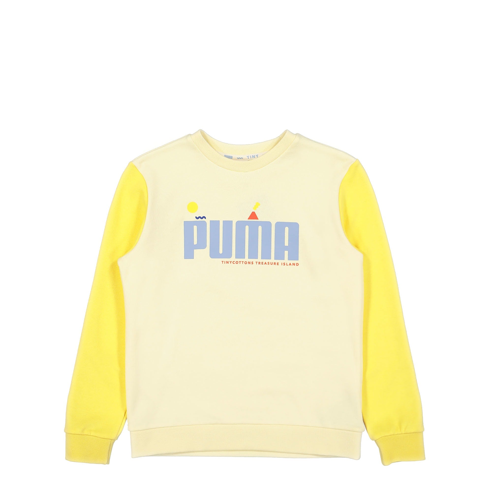 Puma Colorblock Crew TR Anise Flower Sweatshirts 534812 41 | Overkill