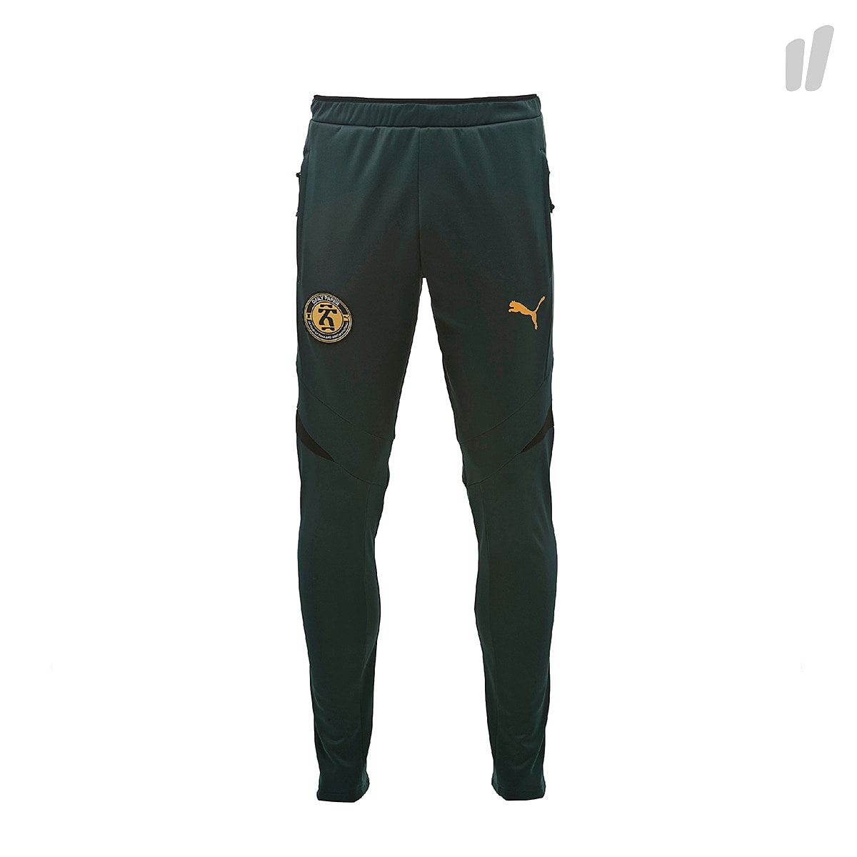 Puma Pants Ponderosa Pine Casual Pants 574168 73 | Overkill
