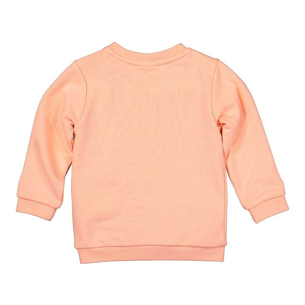 Puma Minicats Crew Jogger Apricot Blush Sweat & Track Pants Close-up | Overkill