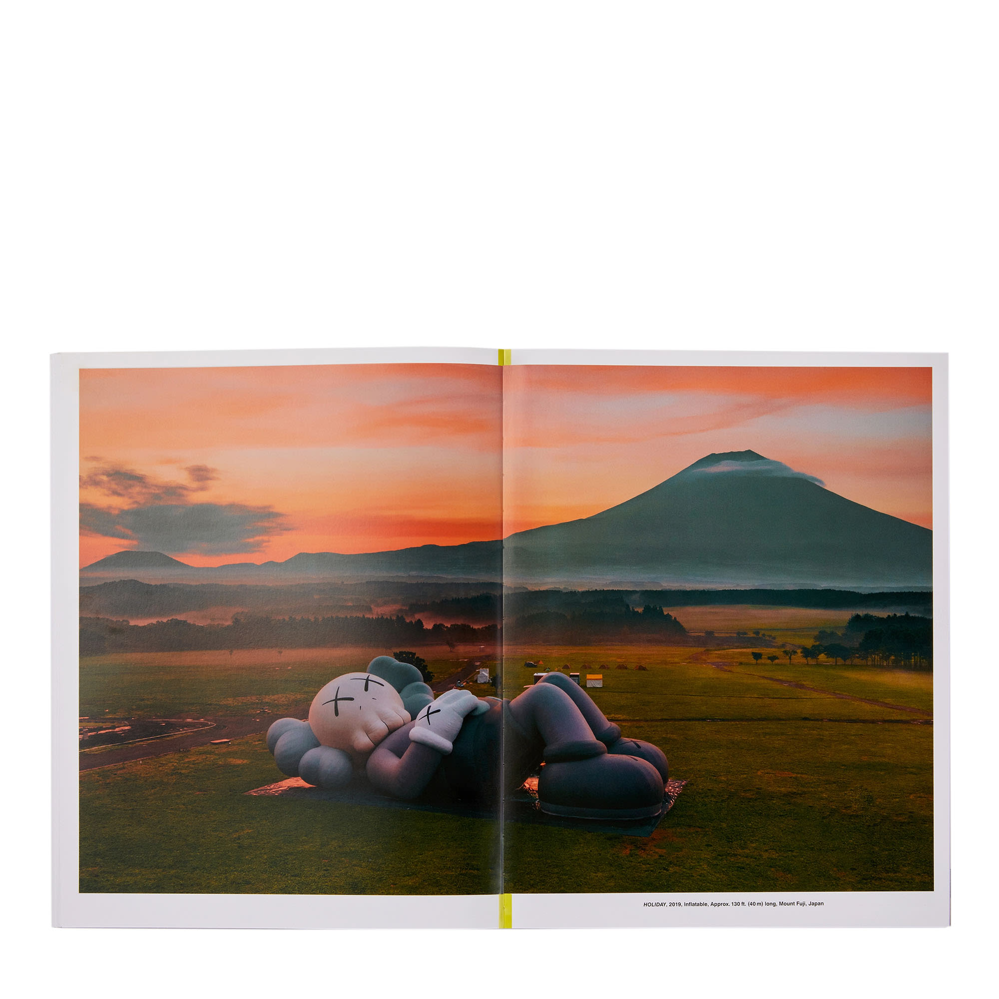 Phaidon Kaws: What Party - Black On Pink Edition 0 Books Close-up | Overkill