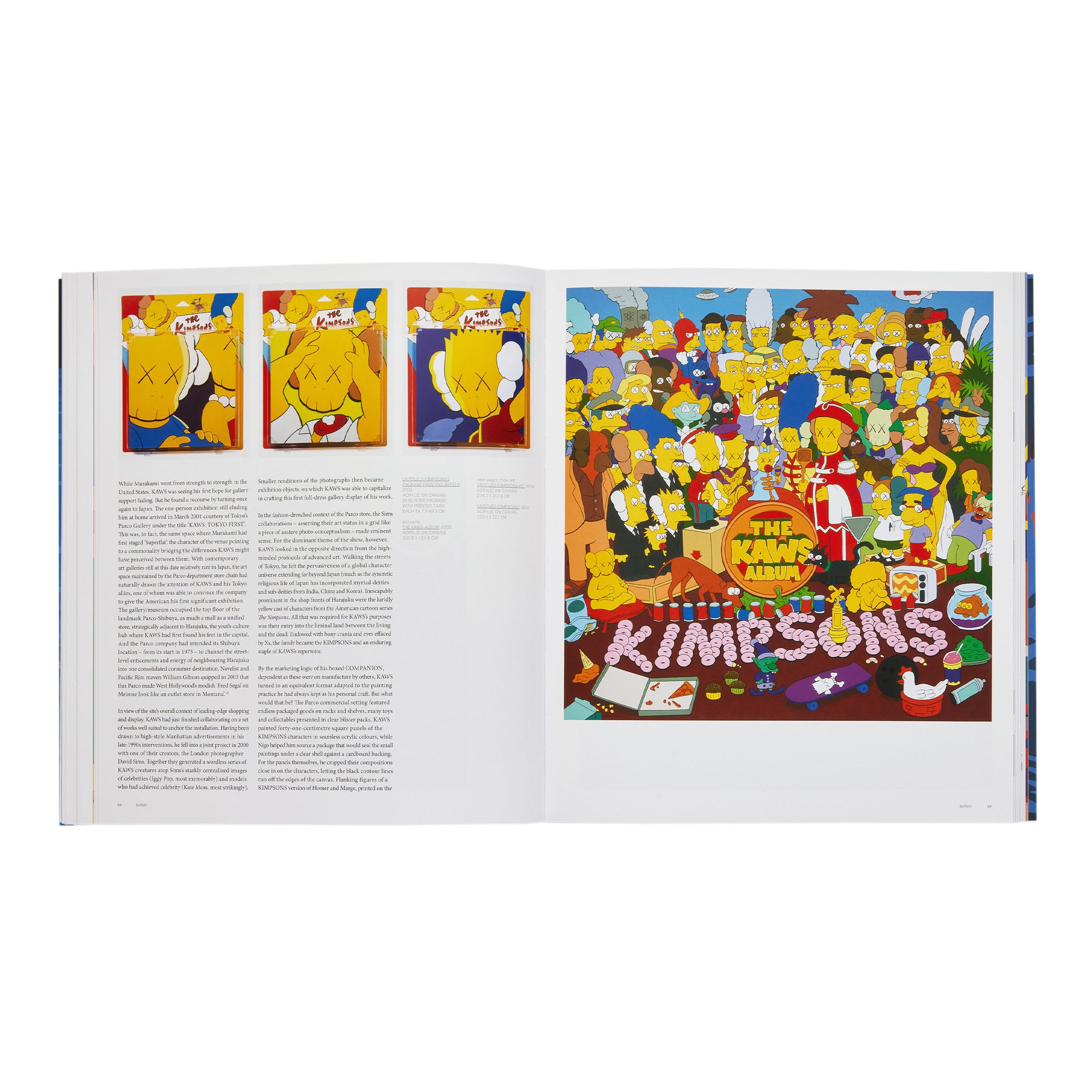 Phaidon Kaws: Contemporary Artist Series 0 Books Close-up | Overkill