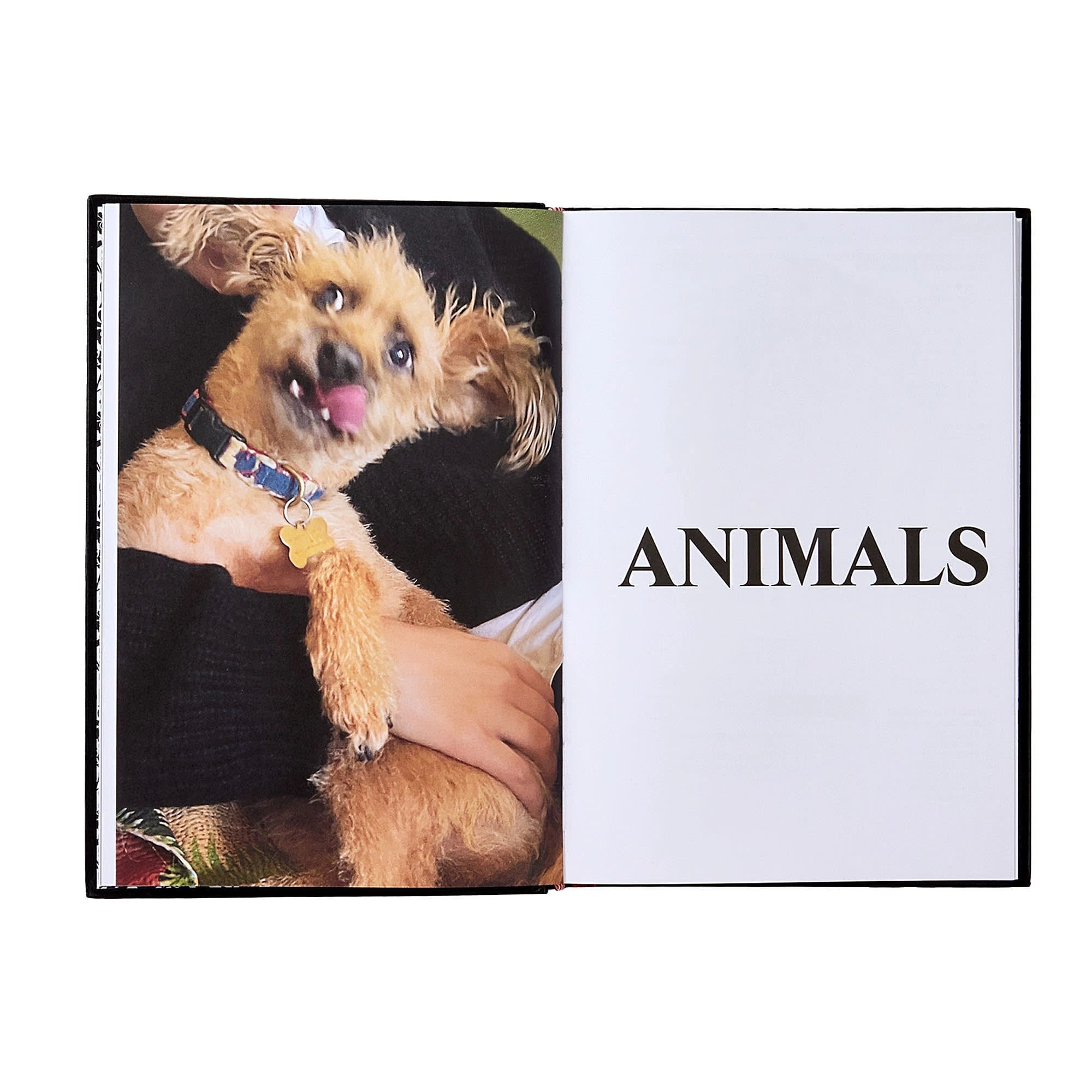 Phaidon Palace Product Descriptions 0 Books Close-up | Overkill