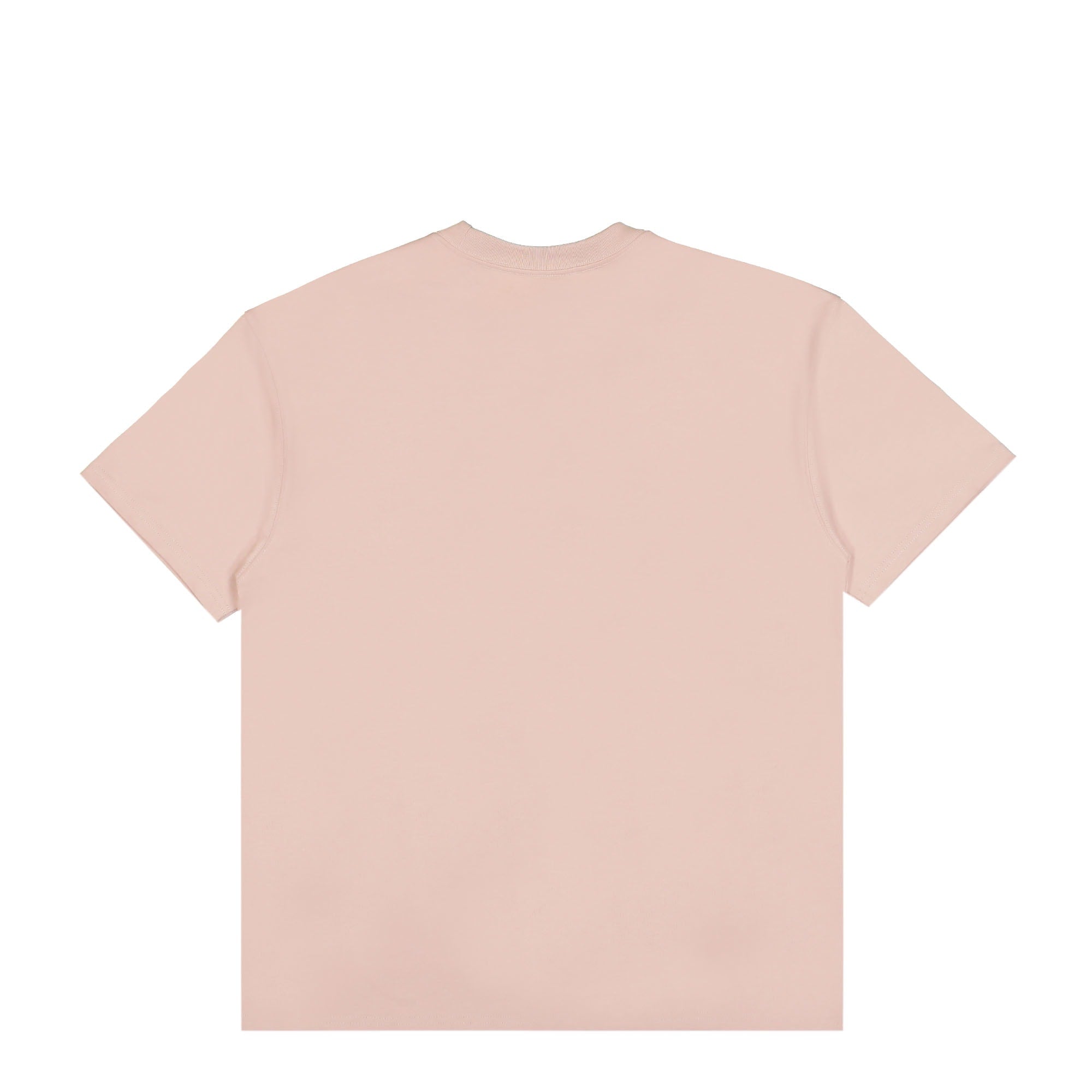 Nike ACG Short Sleeve T-Shirt Pink Oxford T-Shirts Material | Overkill