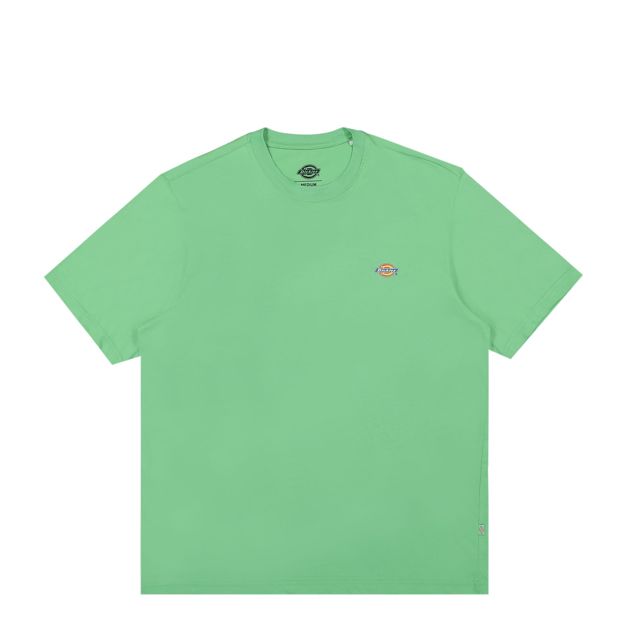 Dickies Mapleton SS Tee Apple Mint T-Shirts DK0A4XDBE911 | Overkill