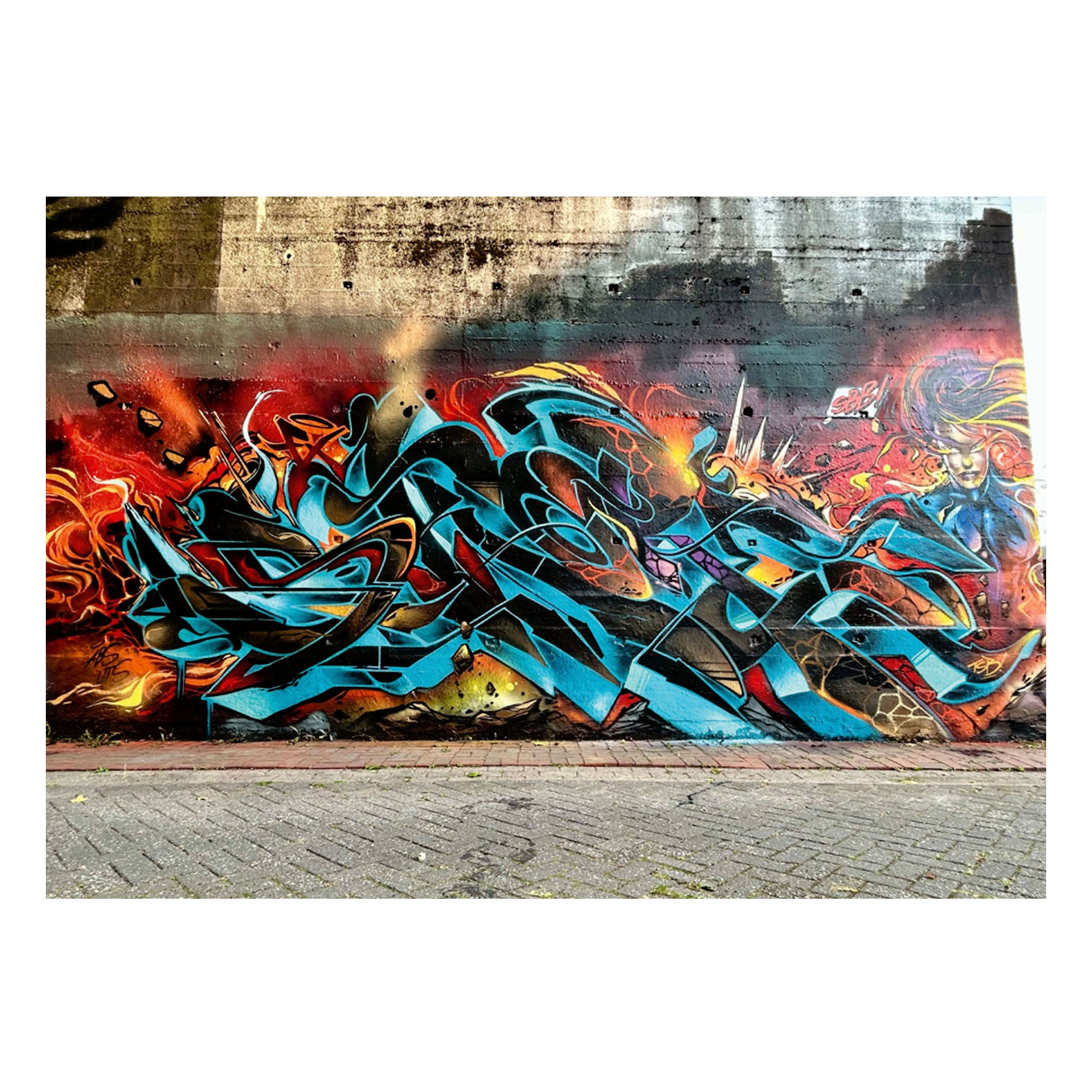 Down By Law Magazine #24 Multicolored Magazines Material | Overkill