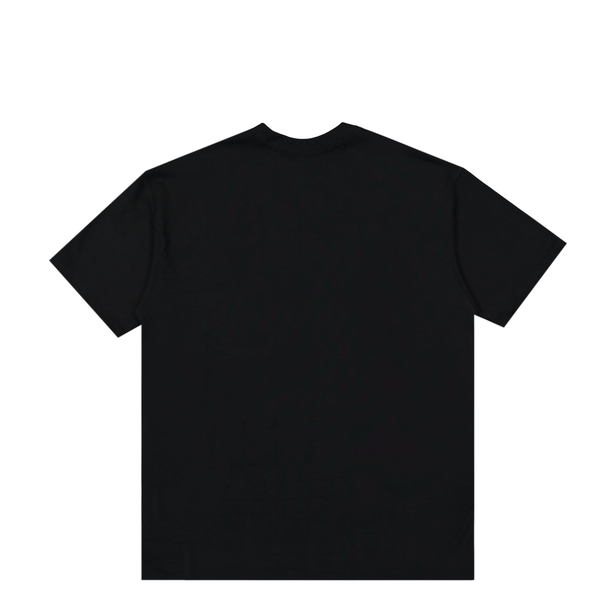 Nike NRG ACG SS Tee Black / Lt Smoke Grey / Summit White T-Shirts Material | Overkill