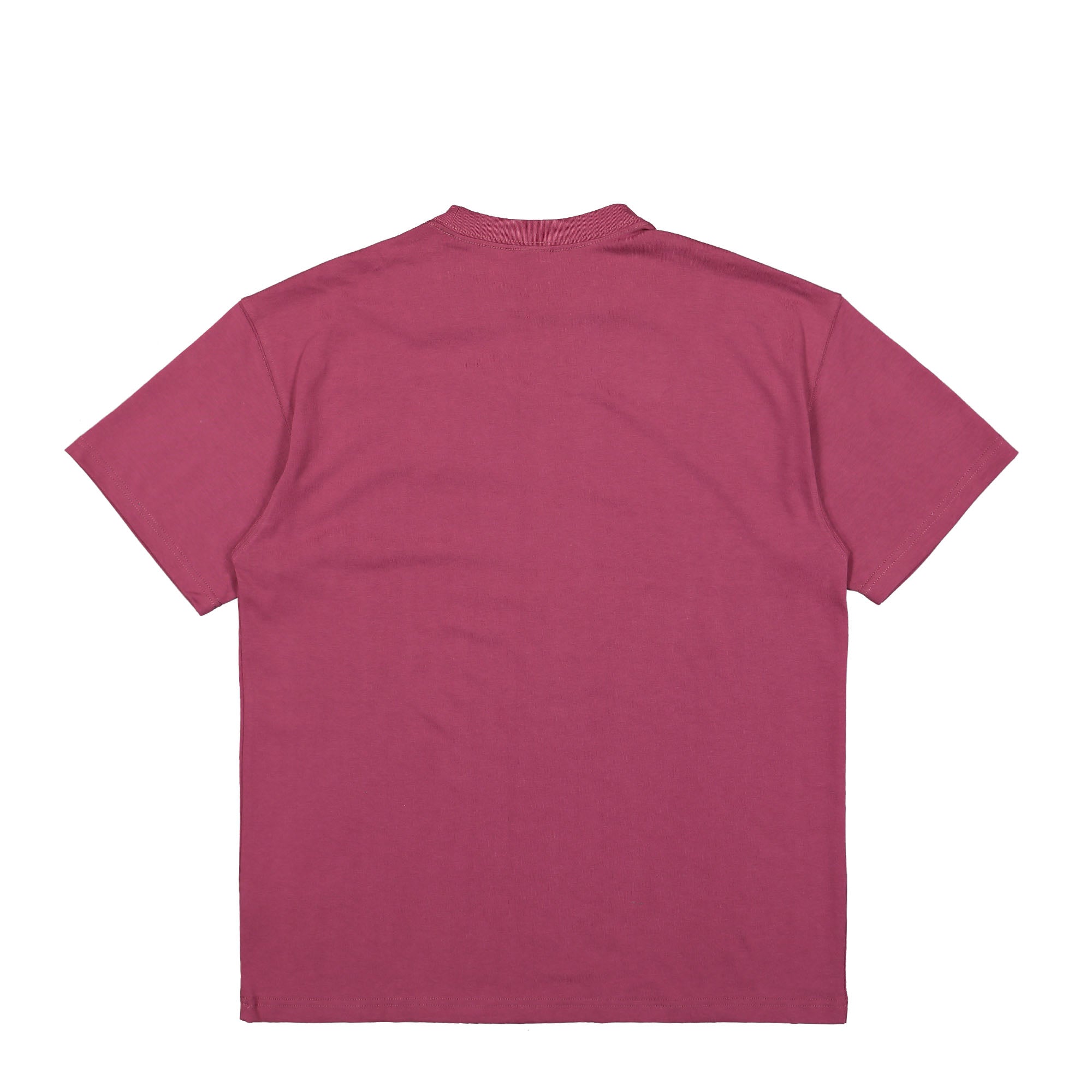 Nike ACG SS NRG Lungs Tee Rosewood / Rush Fuchsia / Summit White T-Shirts Material | Overkill