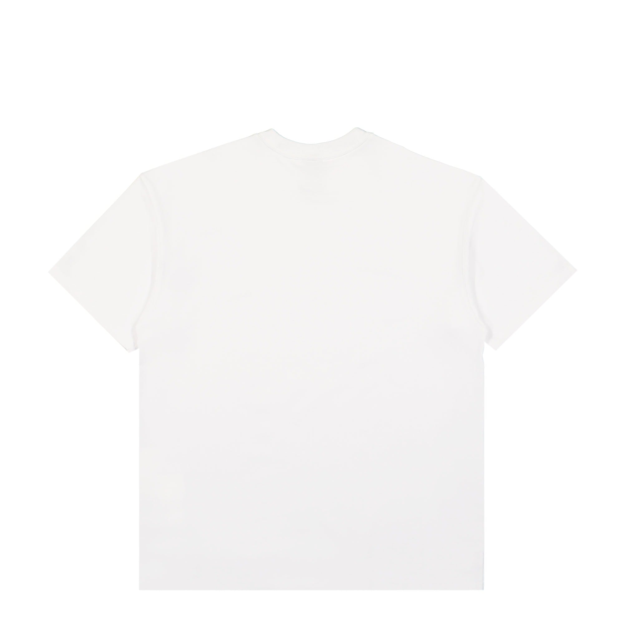Nike ACG Changing Eye Tee Summit White T-Shirts Material | Overkill