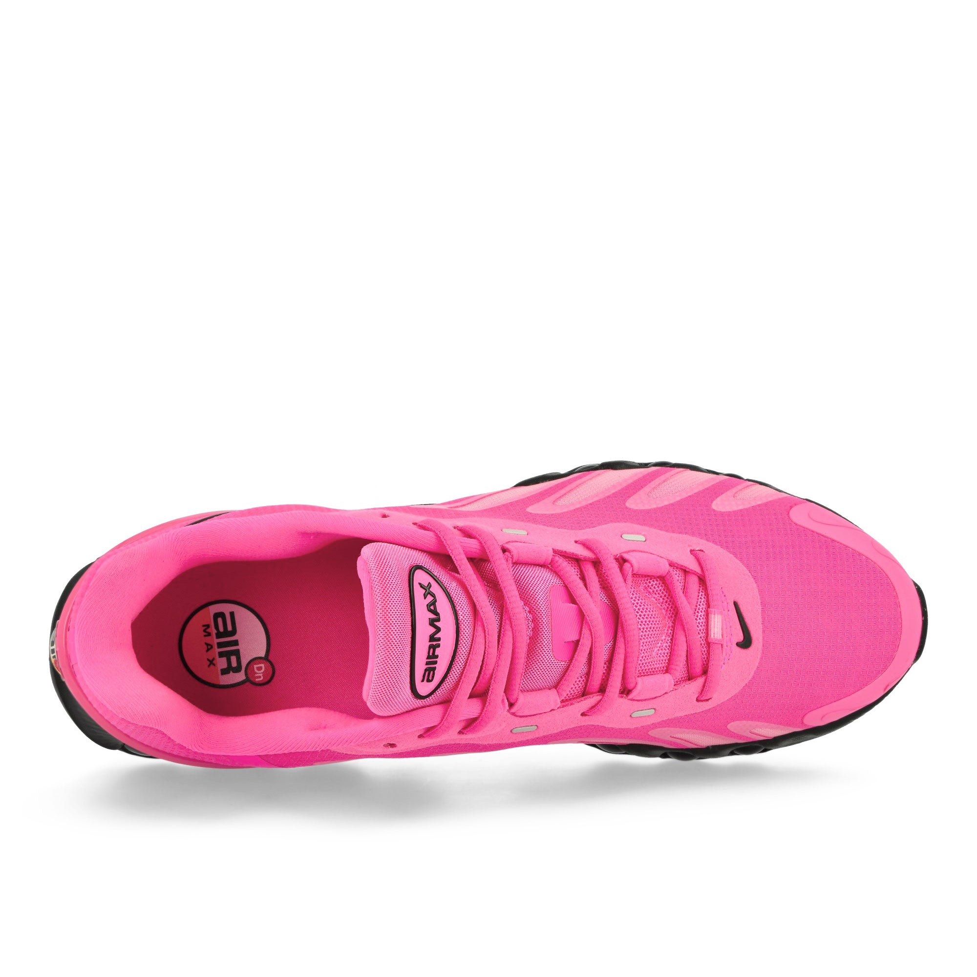 Nike Air Max DN8 Hyper Pink / Black - Hyper Pink - Black Low Top Sneakers Detailfoto | Overkill