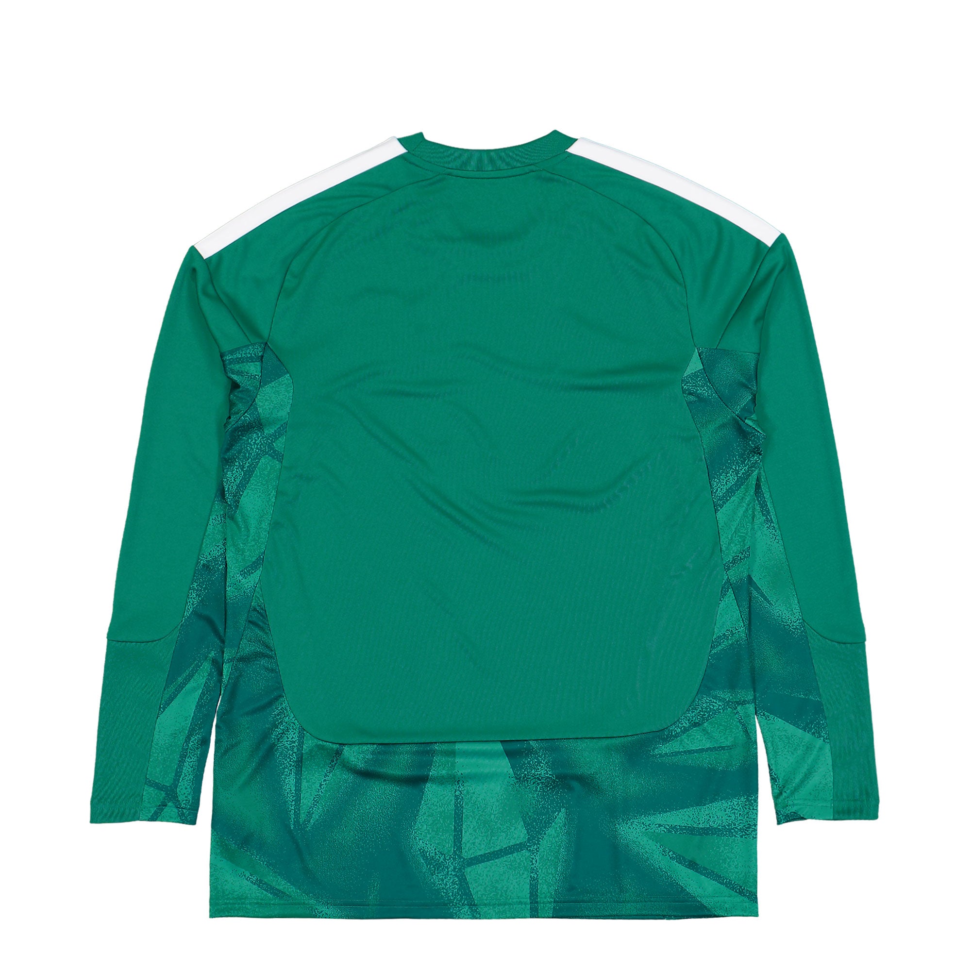 adidas DFB Germany Goalkeeper LS Home Jersey Active Green Trikot JM3716 Close-up | Overkill