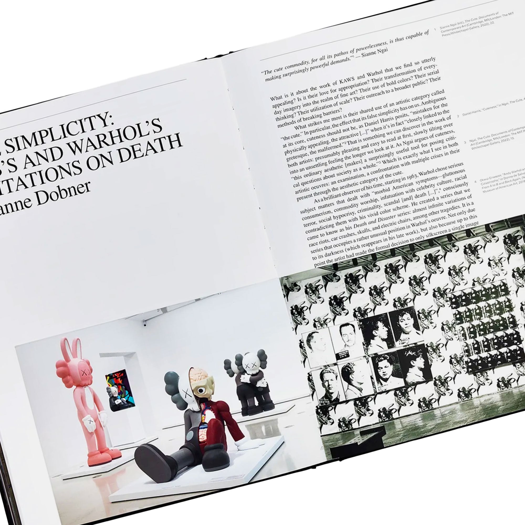 Phaidon KAWS + Warhol Multicolored Books Detailfoto | Overkill