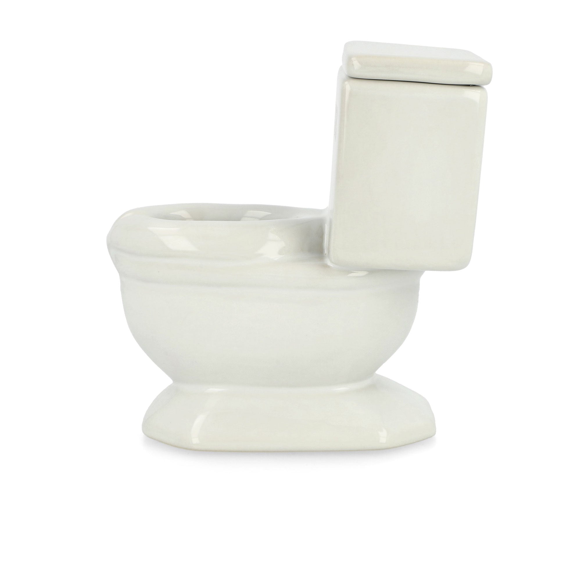 Pleasures Toilet Ashtray White Trays Material | Overkill