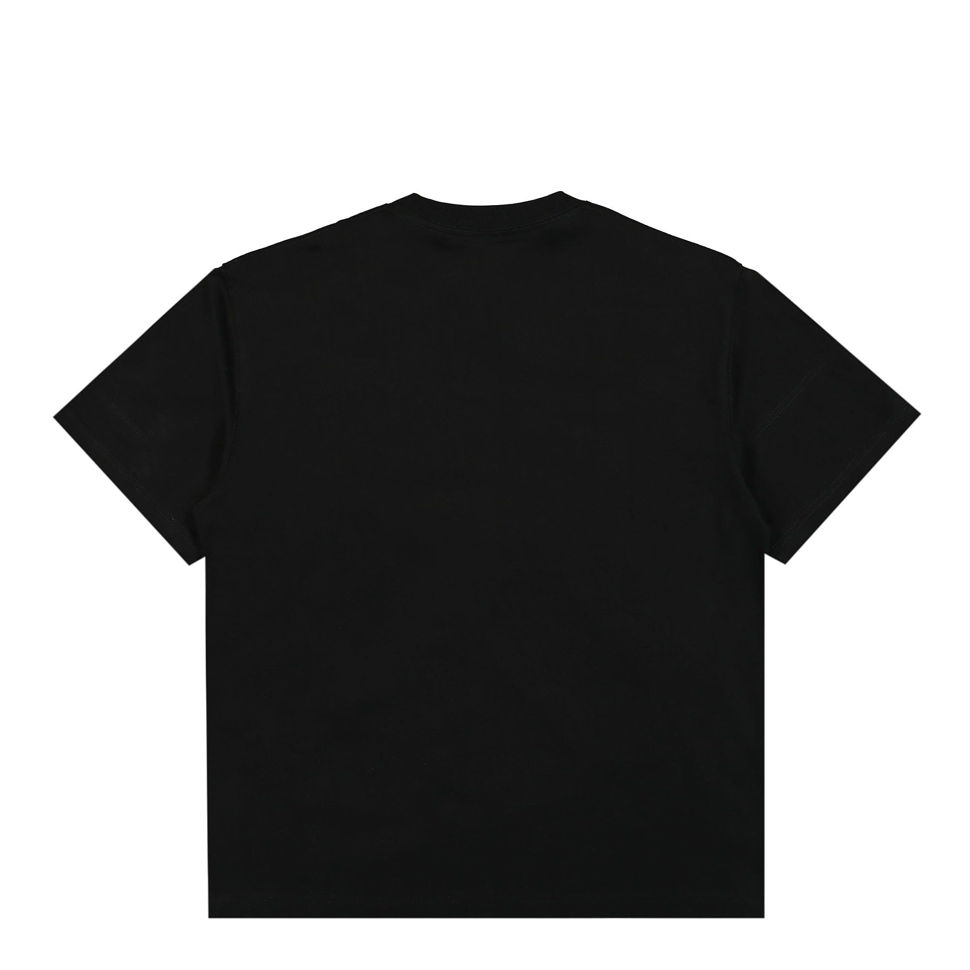 Pleasures Harness Heavyweight T-Shirt Black T-Shirts Material | Overkill