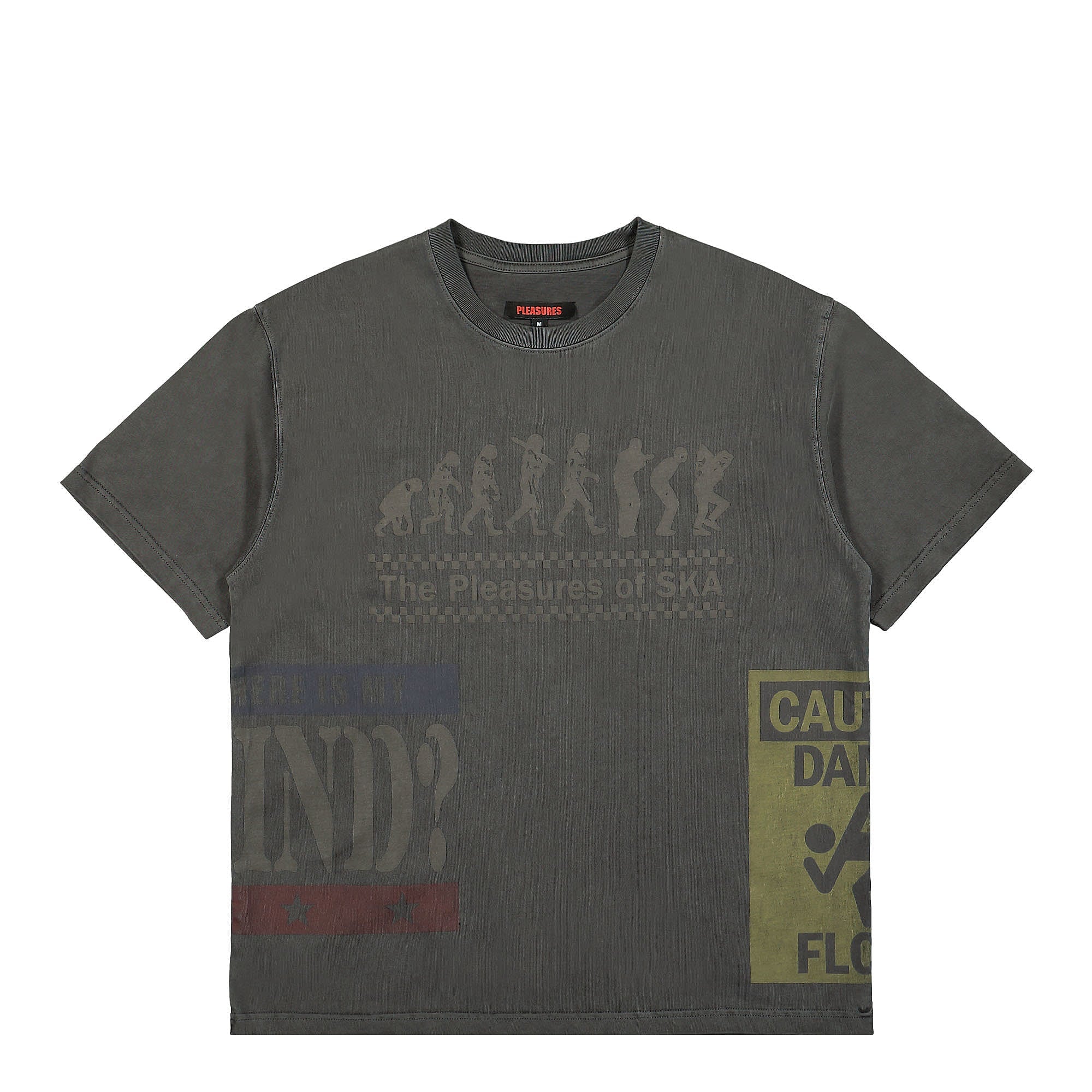 Pleasures Evolution Heavyweight T-Shirt Black T-Shirts P24SP019-Black | Overkill