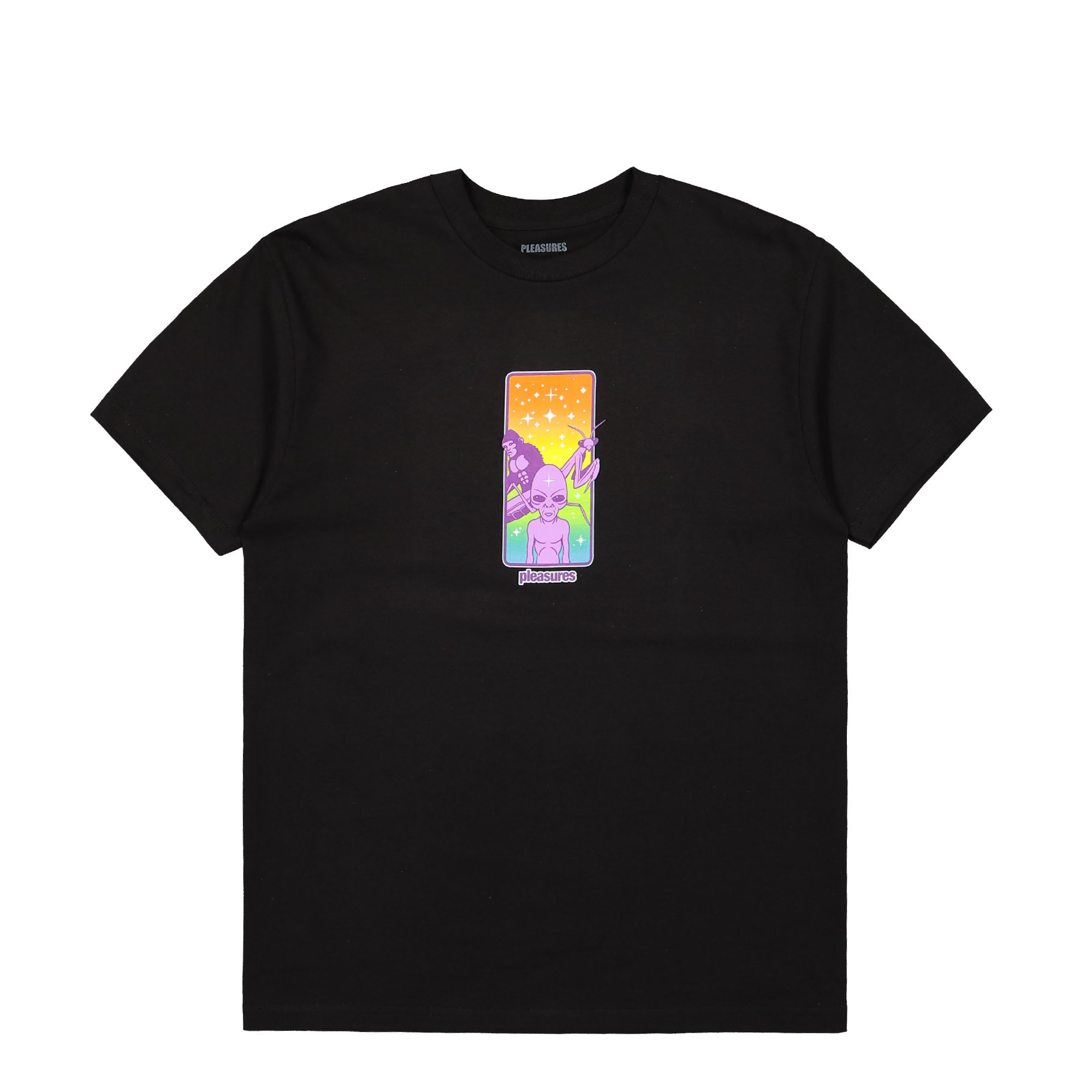 Pleasures Friends T-Shirt Black T-Shirts P24SU047-Black | Overkill
