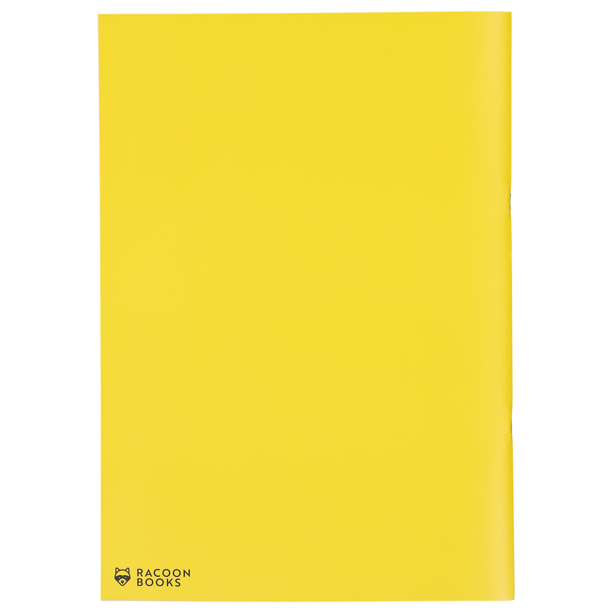 Racoon Books Peter Stelzig - Running The High Line III Multicolored Magazine / Book 978-3-9823072-1-3 Close-up | Overkill