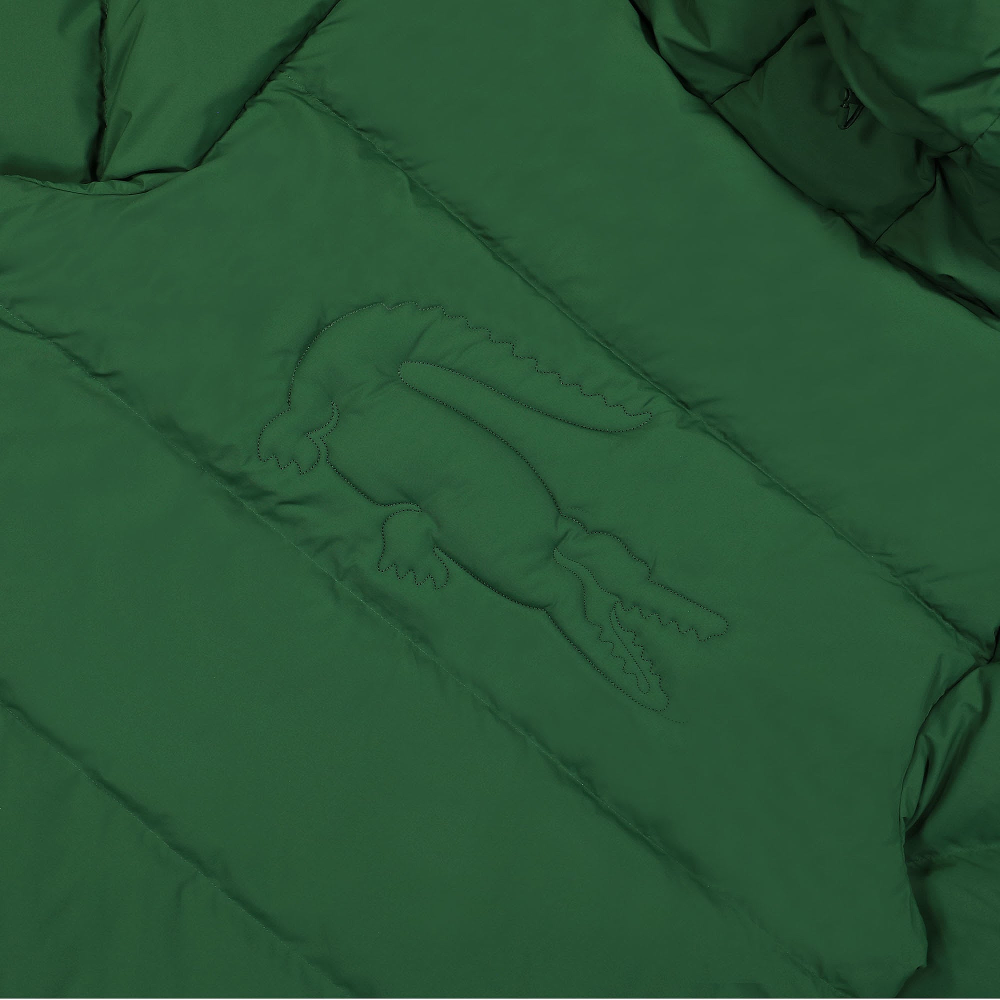Lacoste Padded Hooded Jacket Green Puffer Jackets Detail view 1 | Overkill