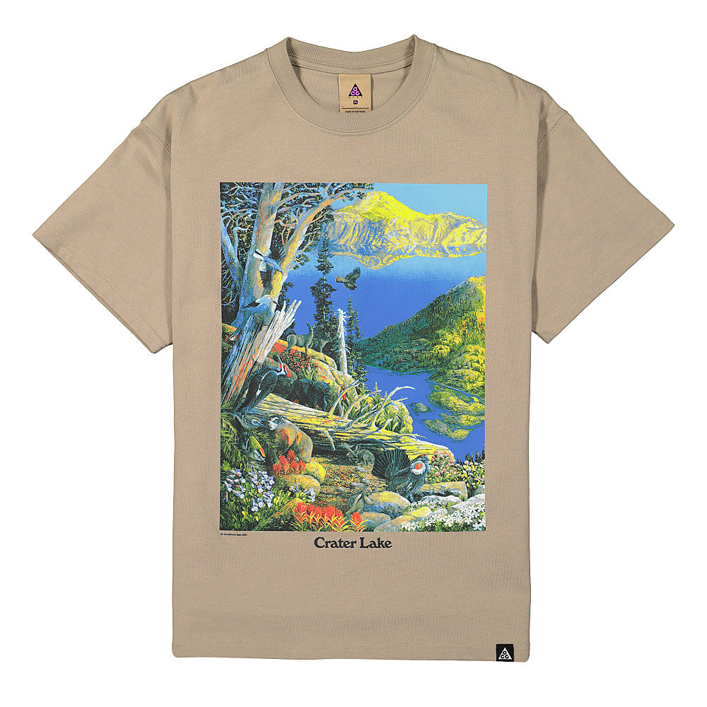 Nike NRG ACG Short Sleeve Crater Lake Tee Khaki / White T-Shirts DA4877 247 | Overkill