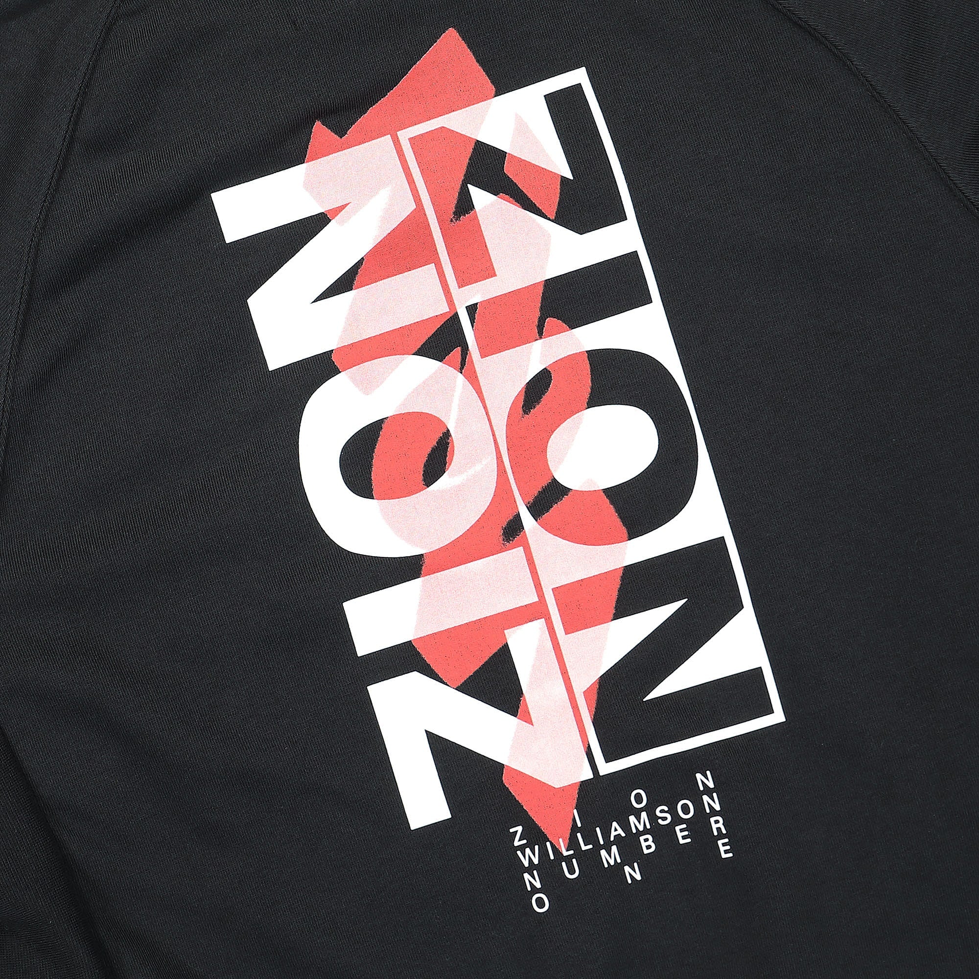 Jordan Air Jordan Dri-FIT Zion Fleece Hoodie Black Hoodies Detail view 1 | Overkill