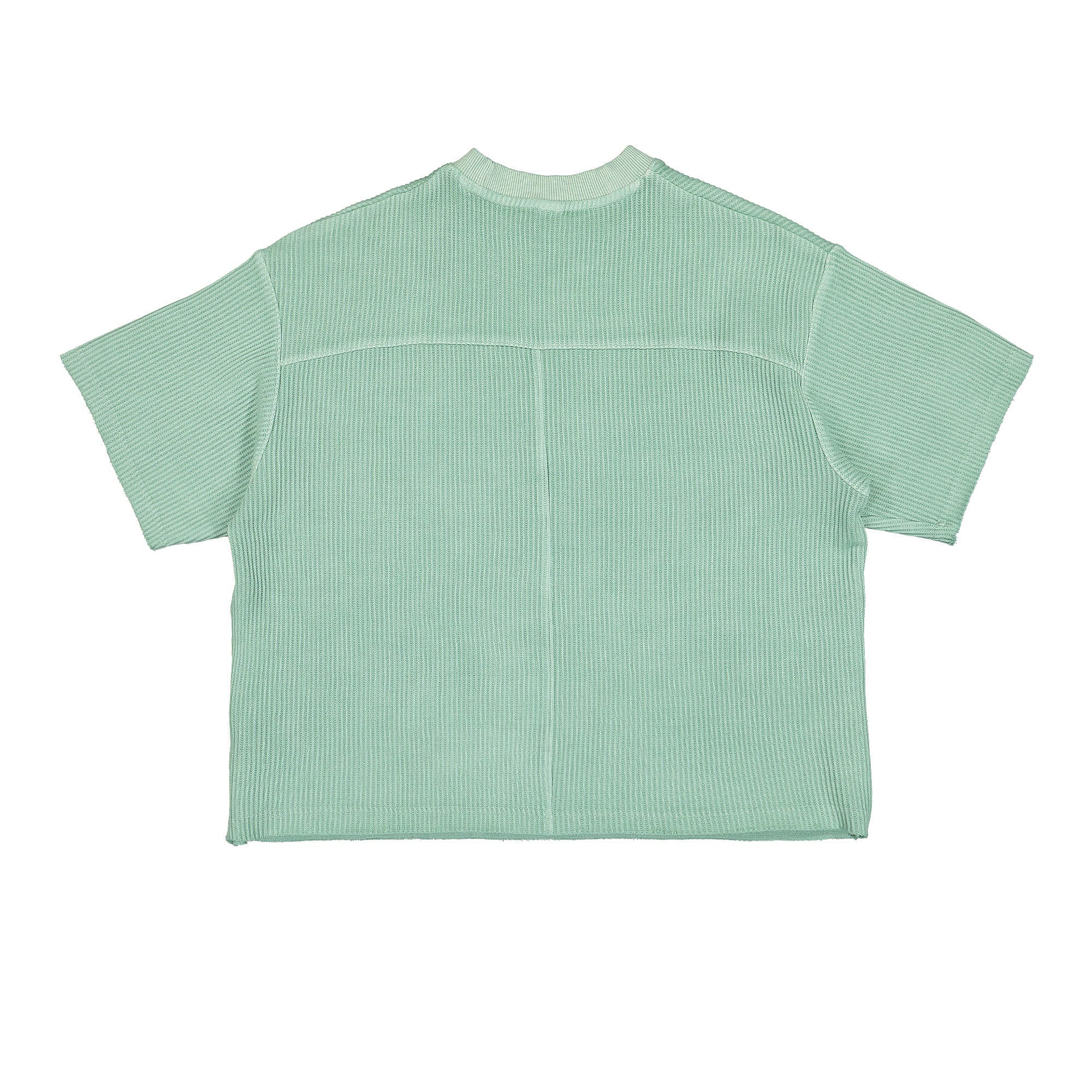 Reebok Wmns Classic Natural Dye Waffle Tee Light Sage T-Shirts Material | Overkill
