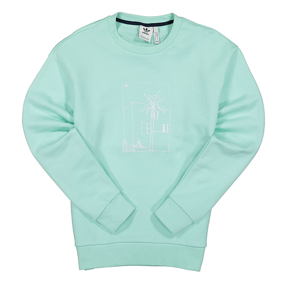 adidas Graphic Crew Clear Mint Sweatshirts HB1828 | Overkill