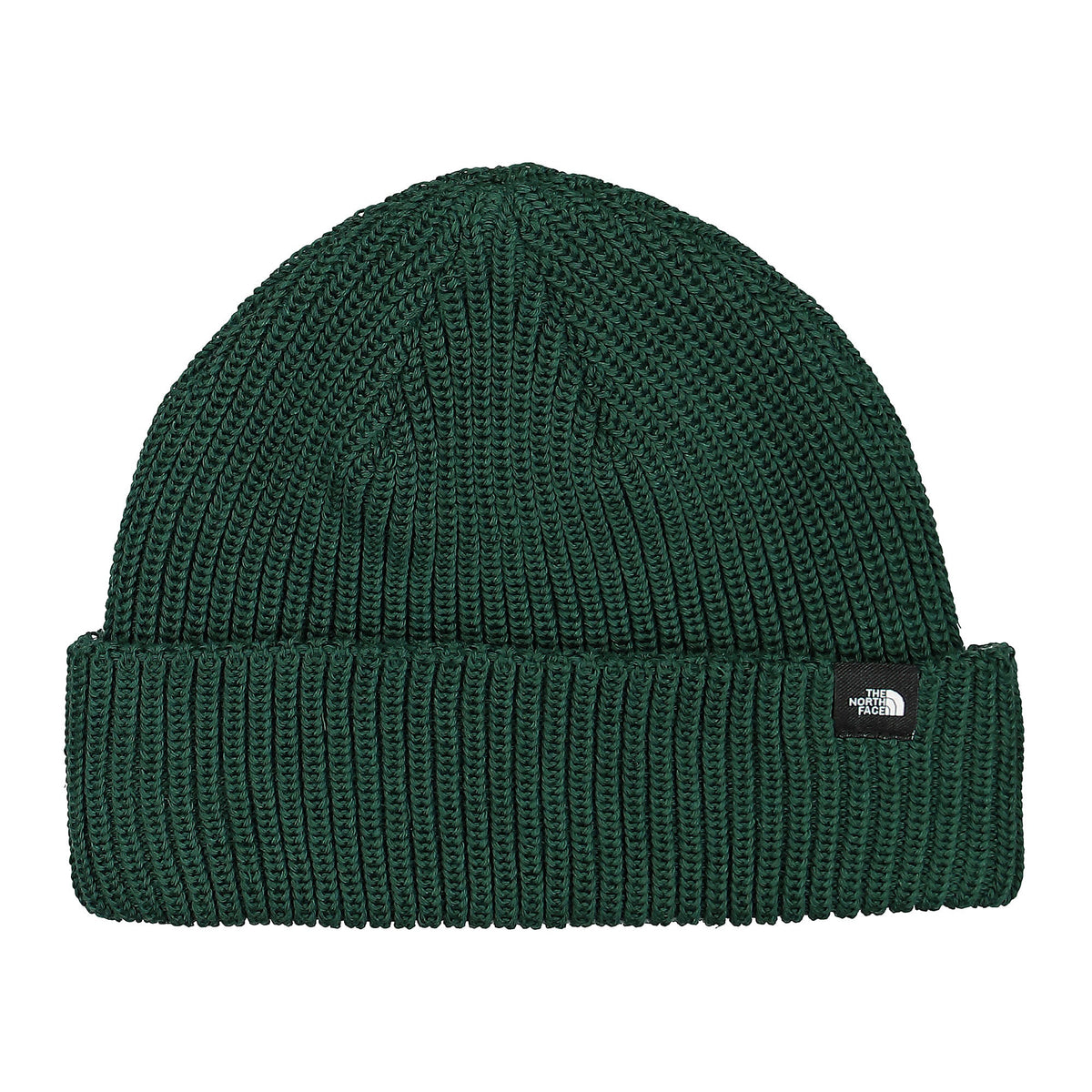 The North Face Fisherman Beanie Ponderosa Green Beanies NF0A55JGE80 | Overkill