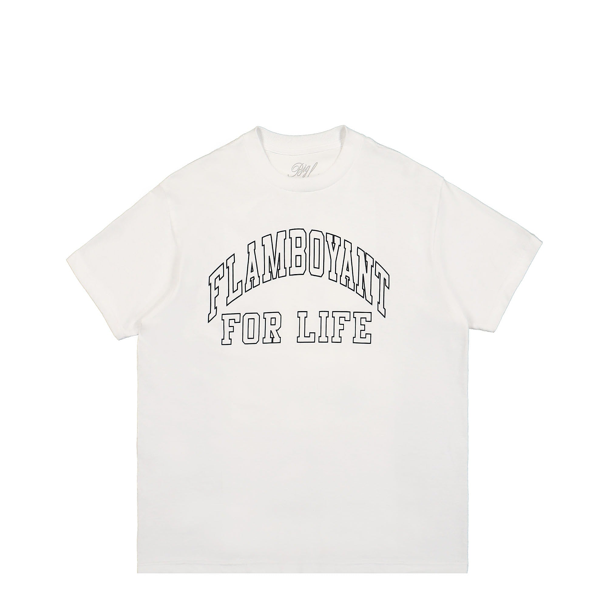 Pleasures Flamboyant T-Shirt White T-Shirts P22F066 | Overkill