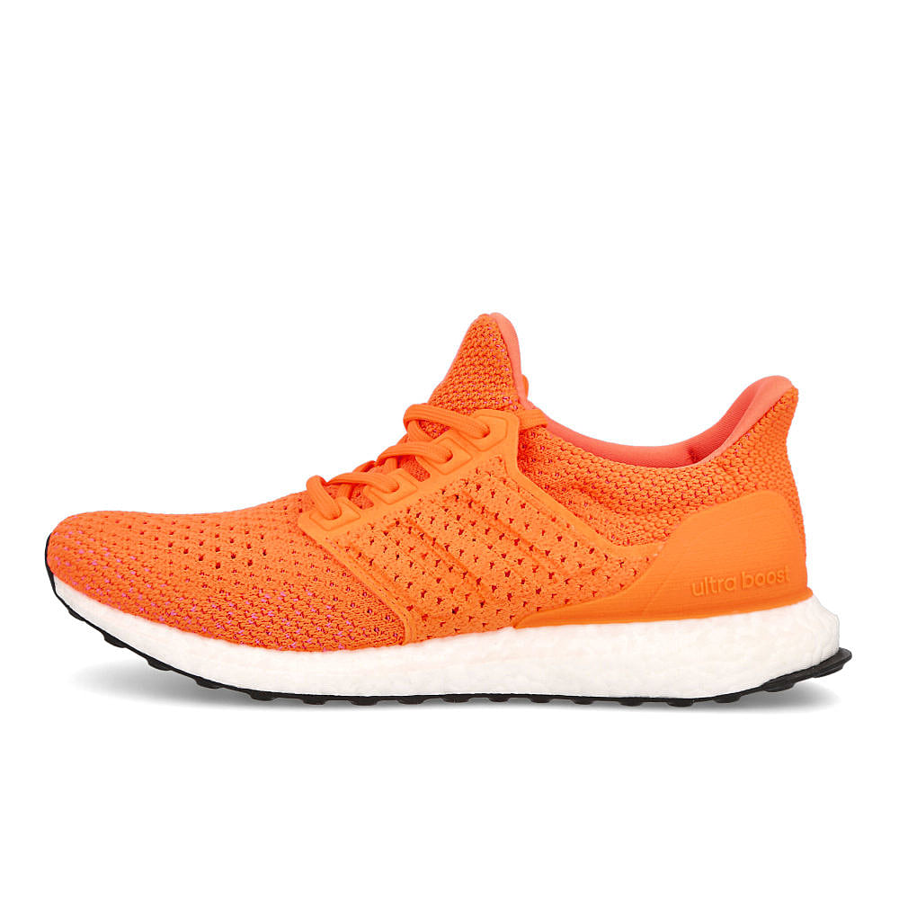 adidas ultraboost clima dna Screaming Orange-Screaming Orange-Core Black Sneakers S42542 | Overkill