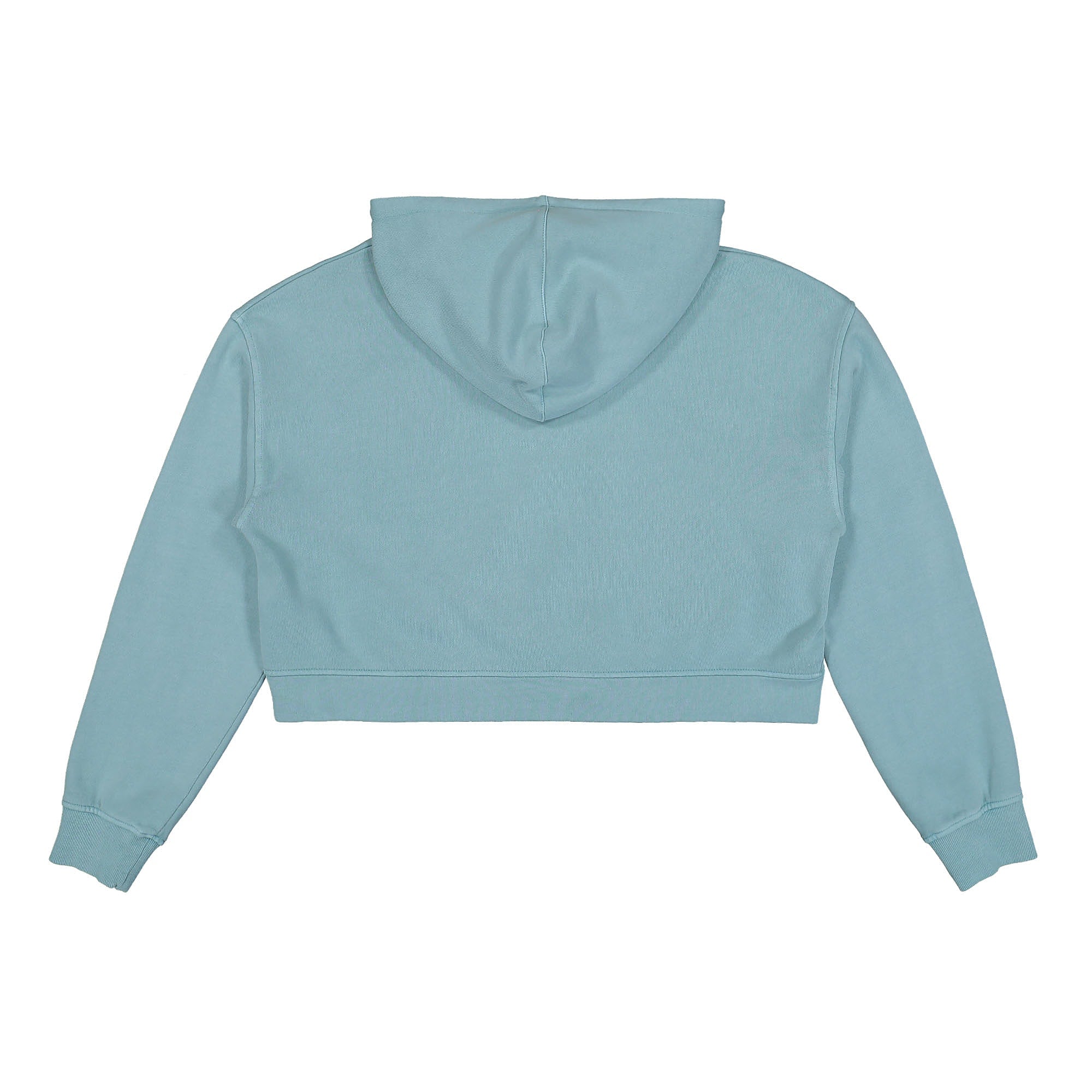 GUESS Originals Wmns Go Olivia Classic Logo Hoodie Soft Teal Hoodies Material | Overkill