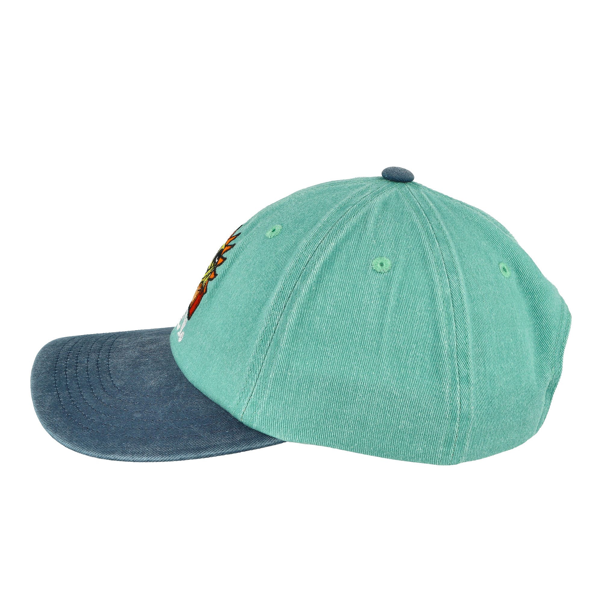 Obey Pigment Fruits 6 Panel Snapback Cap Pigment Sea Spray Multi Color Caps  Material | Overkill