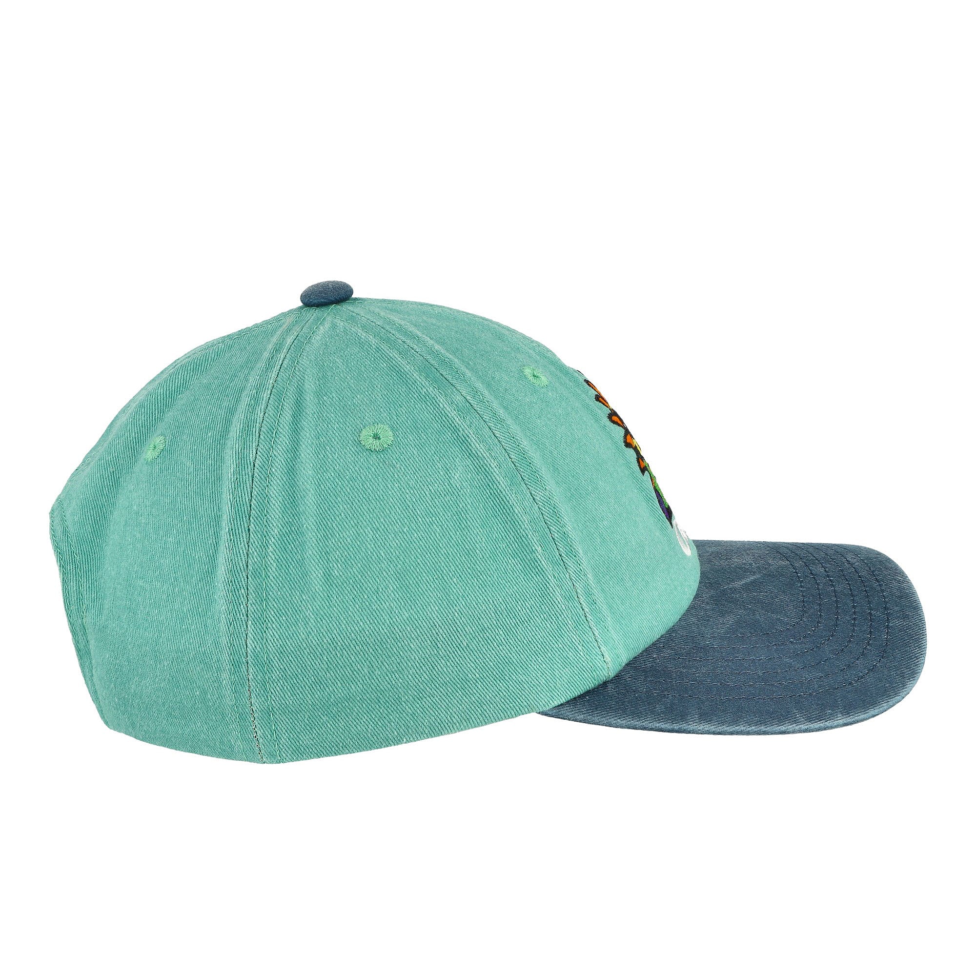 Obey Pigment Fruits 6 Panel Snapback Cap Pigment Sea Spray Multi Color Caps Close-up | Overkill