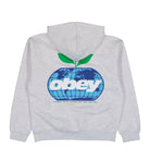 Obey Intercontinental Extra Heavy Hood Ash Grey Hoodie 111610070-AGRY Close-up | Overkill
