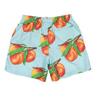 Stussy Peaches Water Short Blue Shorts Material | Overkill