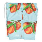 Stussy Peaches Water Short Blue Shorts Close-up | Overkill