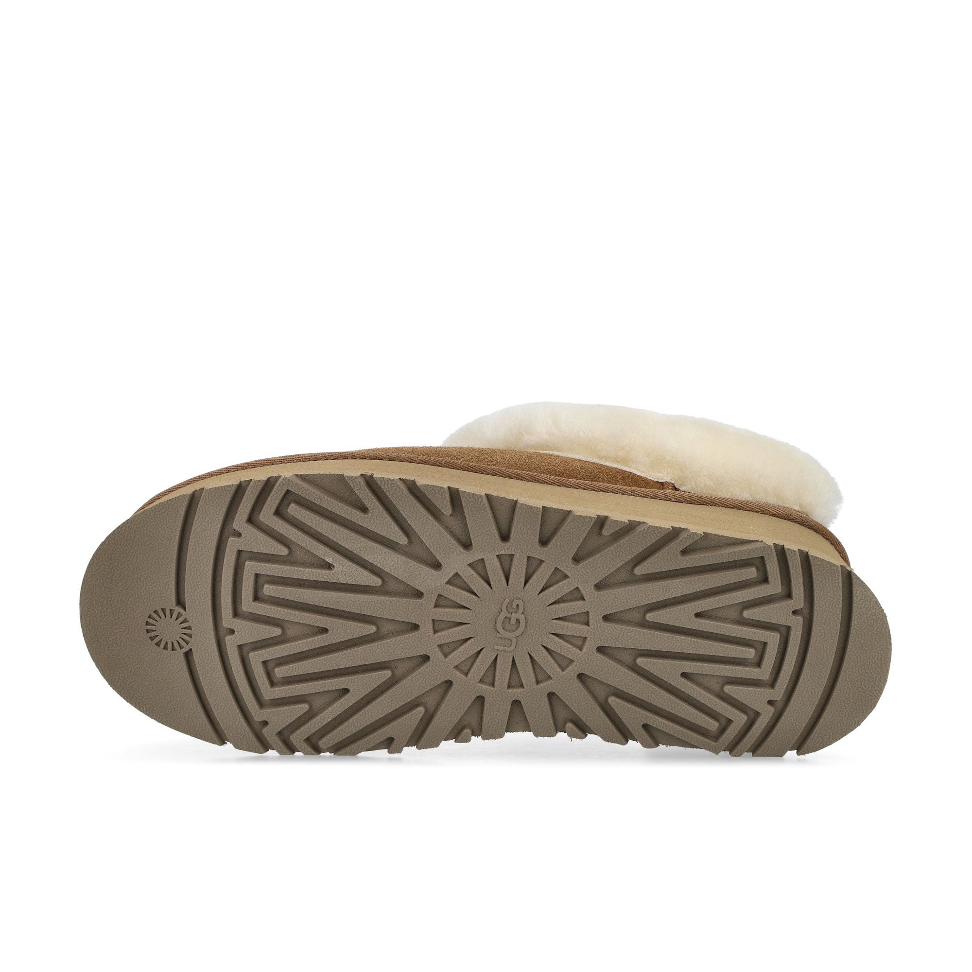 UGG W Tazzelle 1171393-CHE | OVERKILL