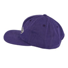 Stussy Washed Collegiate Strapback Purple Caps  Material | Overkill