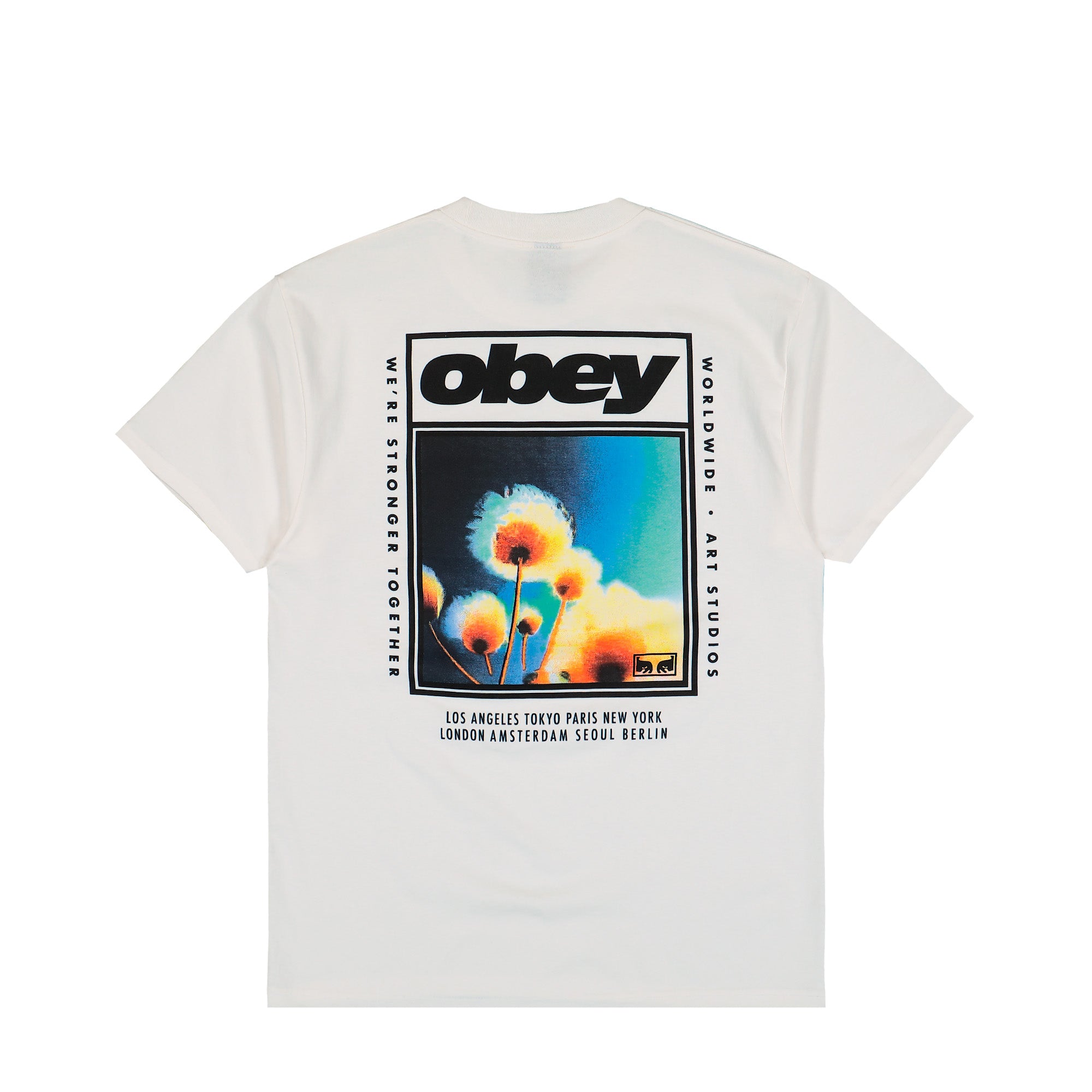 Obey Stronger Togehter T-Shirt Vintage White T-Shirt 165264442-VWH Close-up | Overkill
