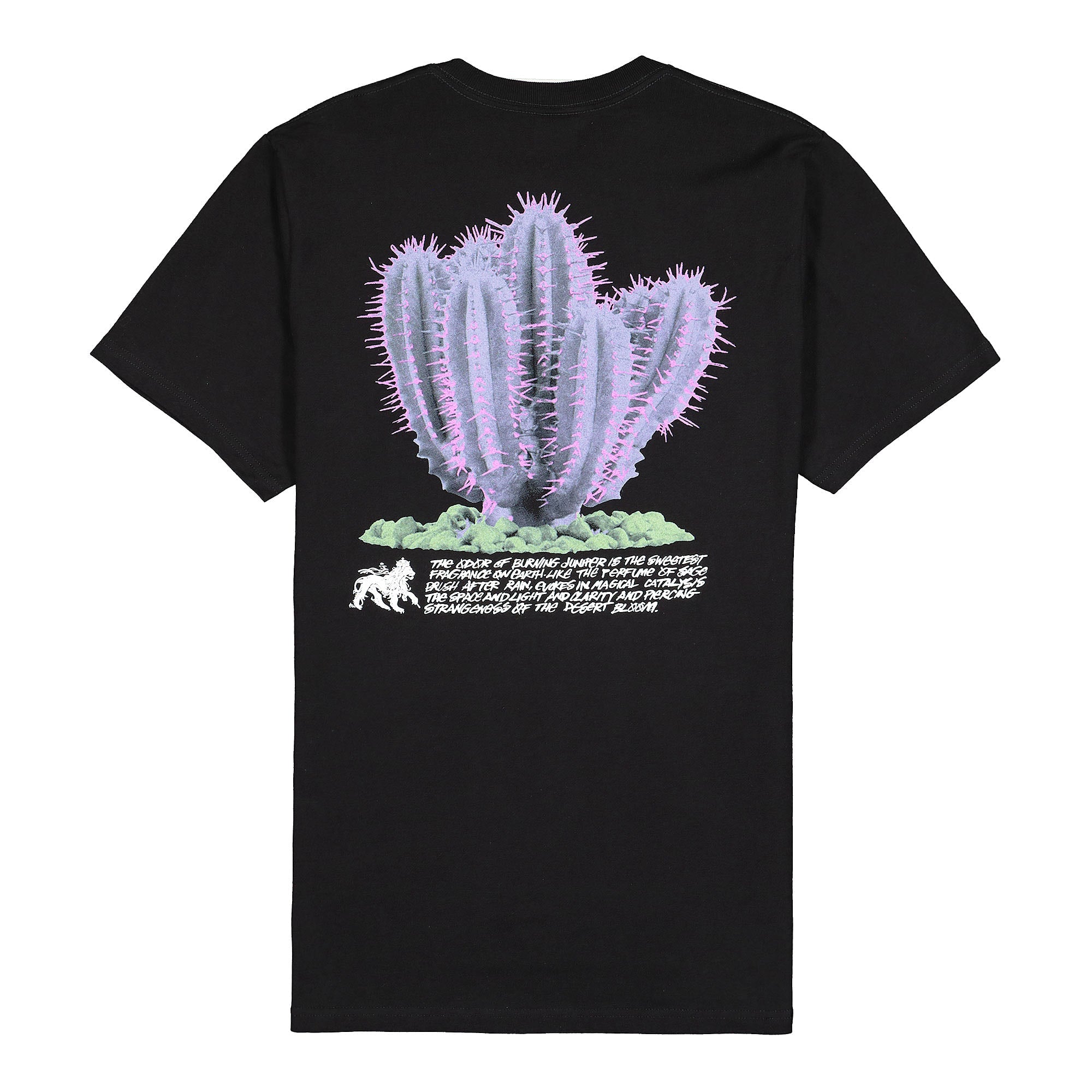 Stussy Desert Bloom Tee 1904686 / 0001