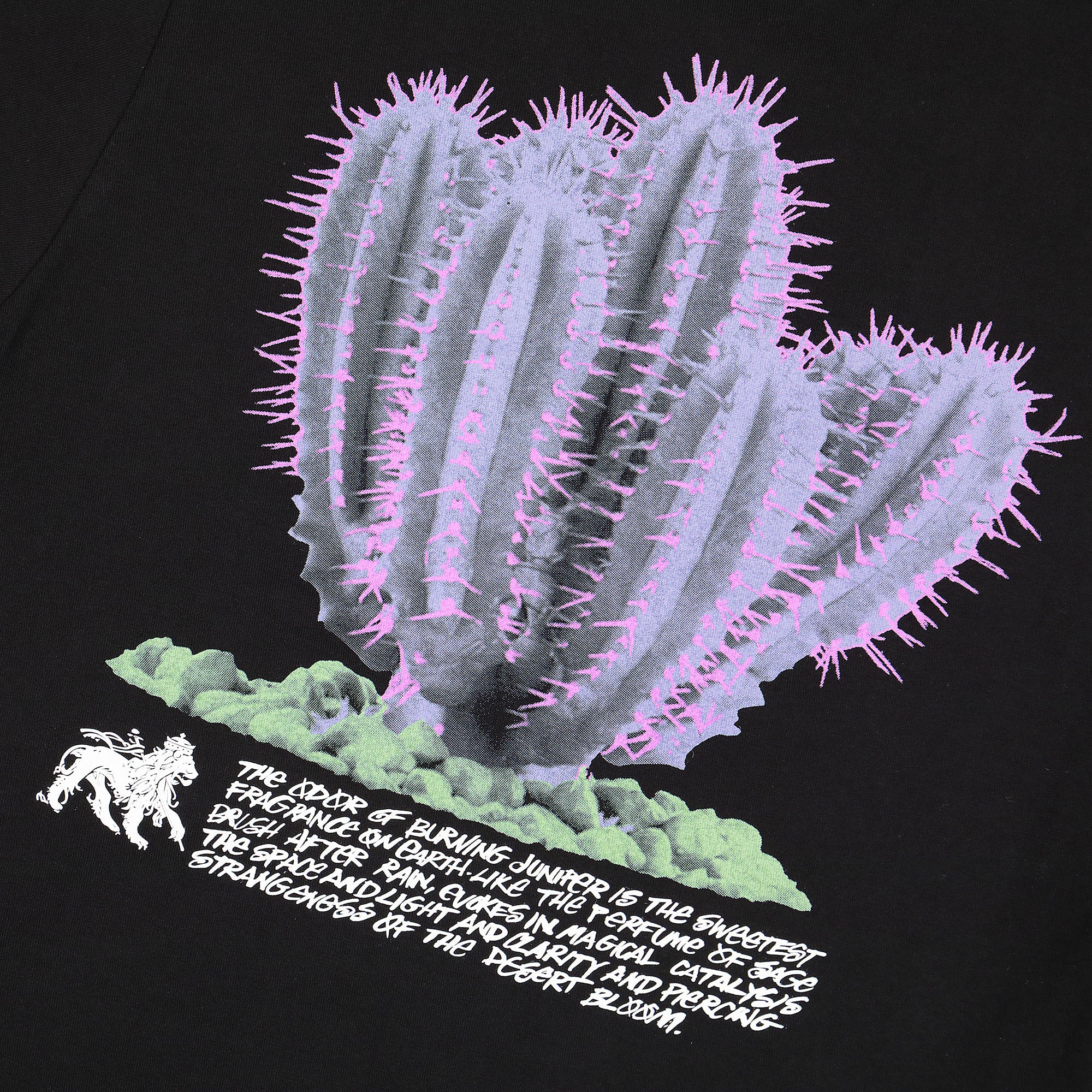 Stussy Desert Bloom Tee 1904686 / 0001