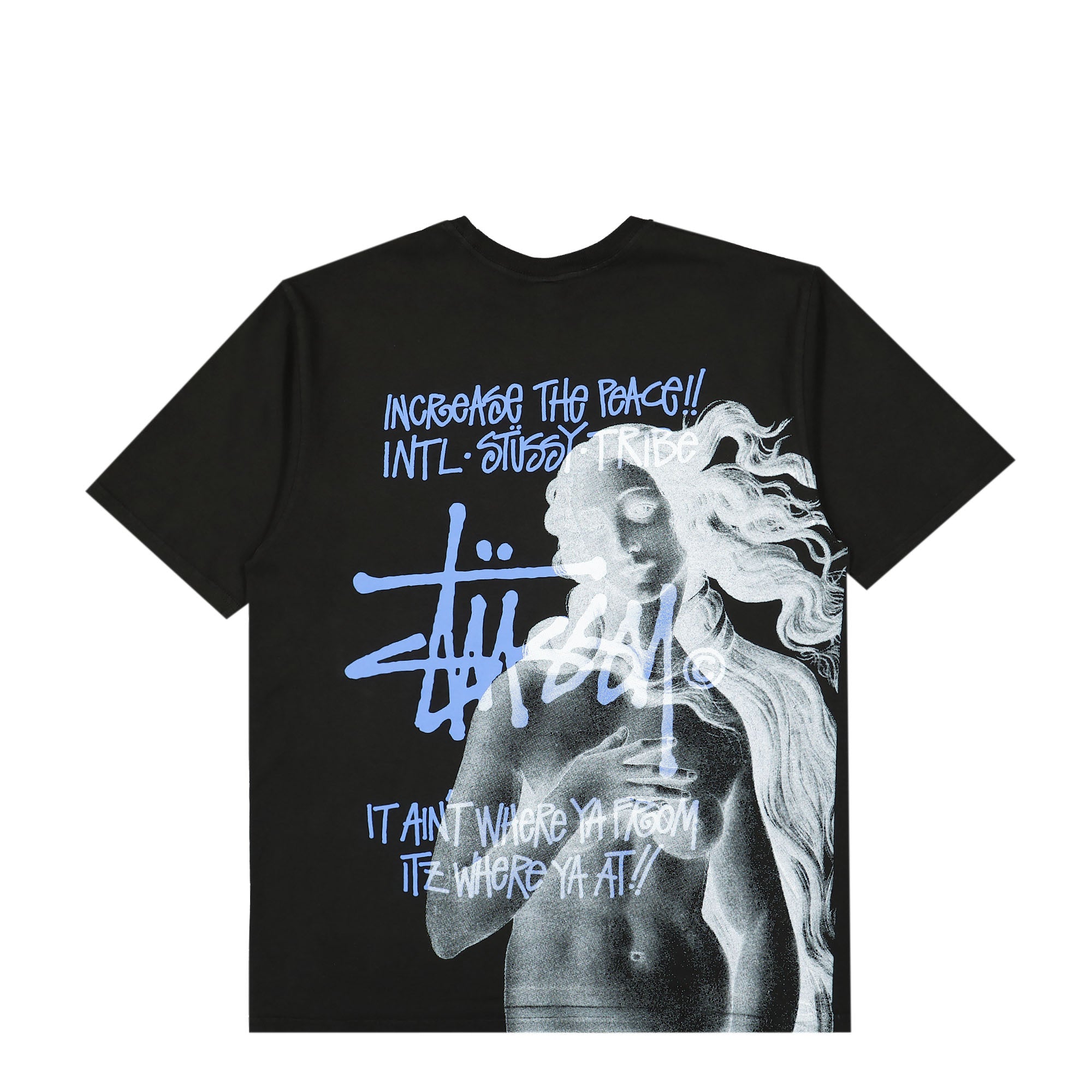 Stussy IST Venus Pig. Dyed Tee 1904977 / 0001 | OVERKILL