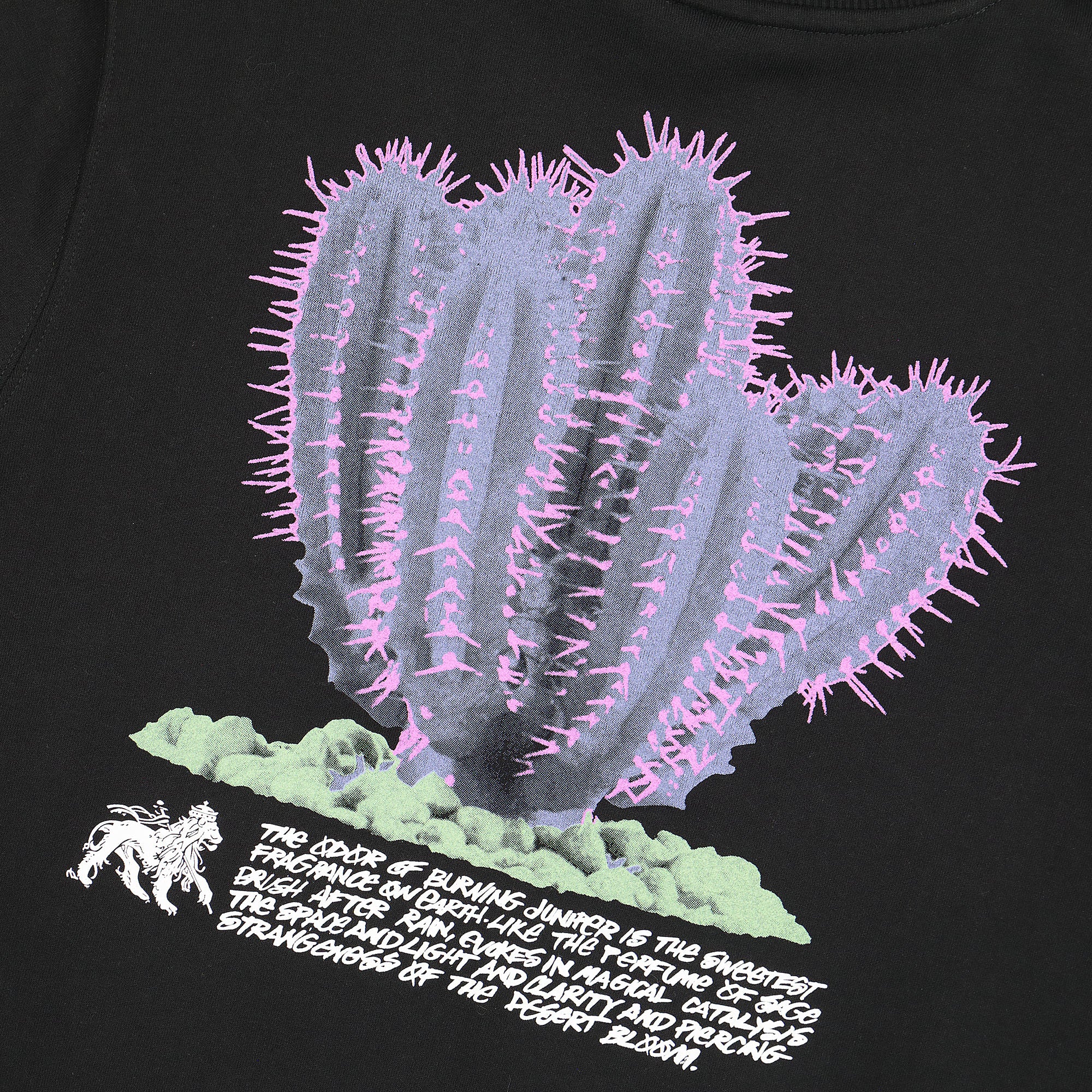 Stussy Desert Bloom Crew Black Sweatshirts Detailfoto | Overkill