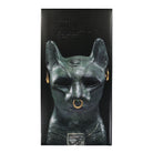 Medicom Be@rbrick The Gayer-Anderson Cat 1000% Multicolor Collectibles & Toys Close-up | Overkill