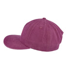 Parra Icepick Logo 6 Panel Hat Fig Caps  Material | Overkill