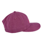 Parra Icepick Logo 6 Panel Hat Fig Caps Close-up | Overkill