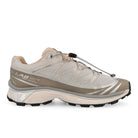 Salomon XT-6 Rainy Day / Paloma / Footwear Silver Sneaker 479880 Silhouette | Overkill

