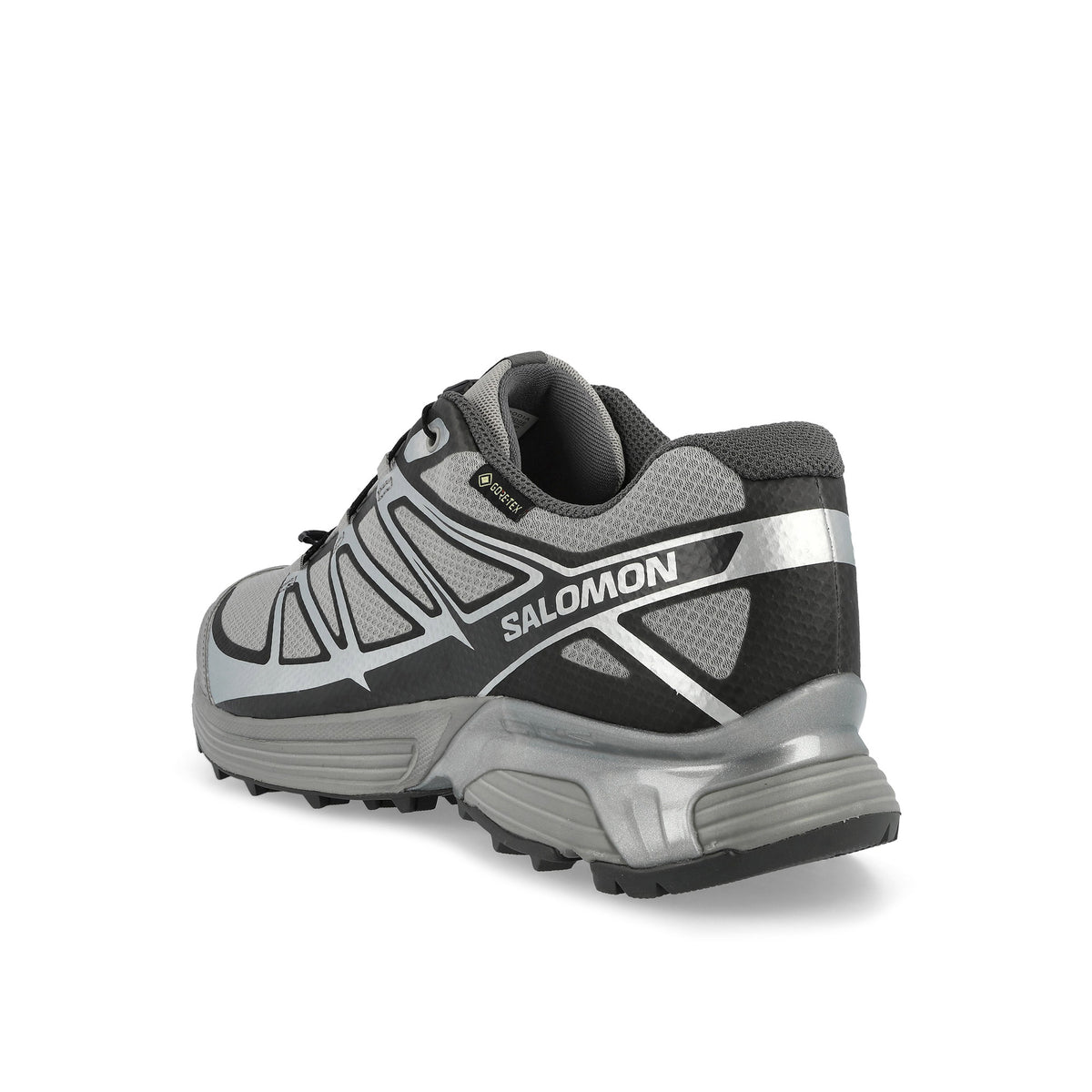 Salomon XT-Pathway GTX Alloy / Footwear Silver / Castlerock Low Top Sneakers 492358 Material | Overkill

